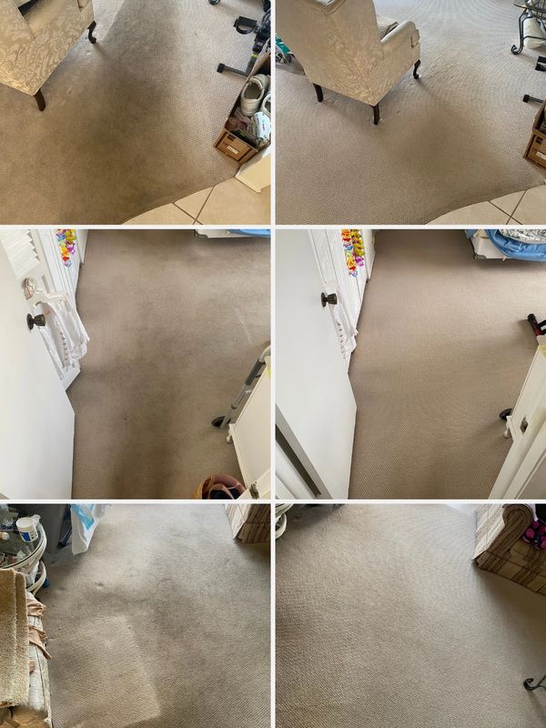 Carpet Cleaning Fort Myers, FL All Natural Citrus Cleaning